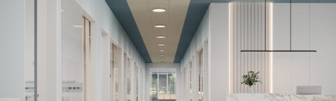 دسته‌بندی محصولات ما